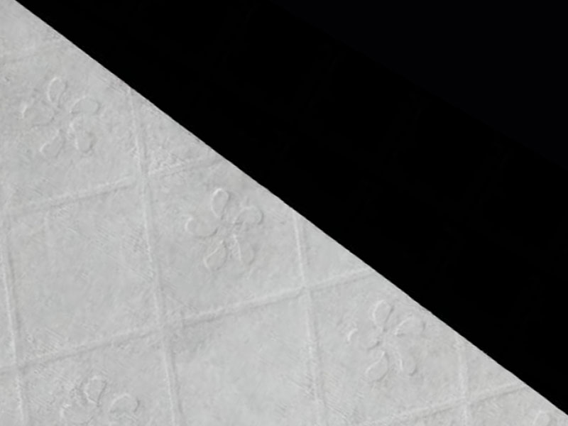 Kain Viscose/Pulp Flushable Untuk Kertas Tandas